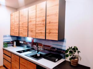 Apartament PLAC KAZIMIERZA WIELKIEGO 5