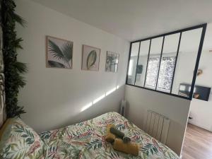 Appartements STUDIO JUNGLE - HYPEr CENTRE LORIENT : Appartement 1 Chambre