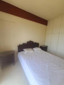 House by the mountain with Art museum