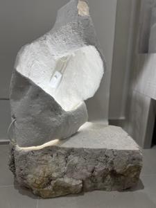 Sea Shells Studio Apartment