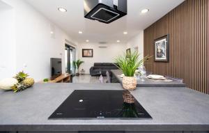 Nice Apartment In Brodarica With Sauna