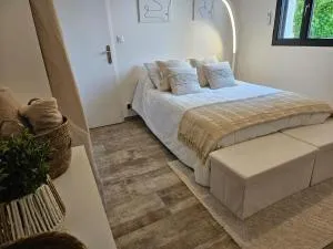 Villa spa au coeur de Tours Loire Valley - Tours