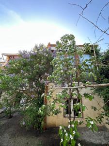 Triple Room with Balcony room in Popock City Center