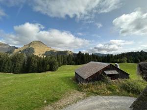 Appartements Studio au coeur du Praz-de-Lys - Les Pralyssimes : photos des chambres