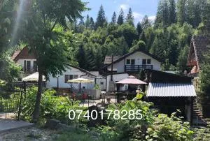 Podul De Brazi - Fir Bridge - Şelimbăr