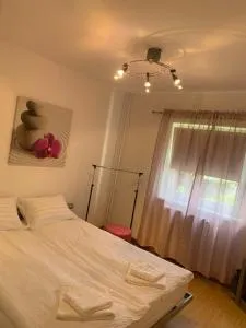 Focus Hun 3 - Topliţa-Ciuc