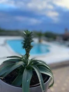 Villa Kimberlly - 罗维尼村