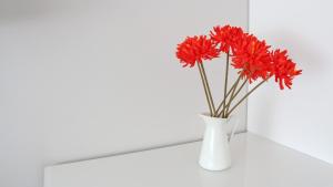 Park and Bike City Studio Zagreb