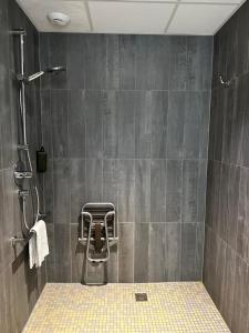 Hotels ibis Saint-Malo Madeleine : photos des chambres