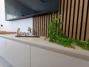 Luxury Apartments Marina View