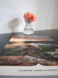 Maisons de vacances Le Bernicaille Gite a la campagne : photos des chambres