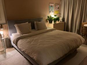 Cozy room just outside Utrecht Center, calm & green