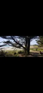 Kerambigorn - 富埃南