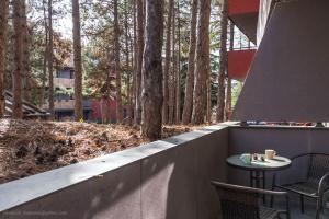 Aquarelle - city forest chill