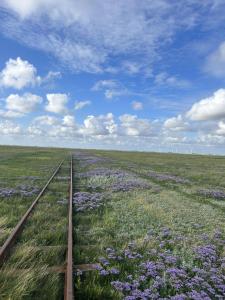 Gästehaus Bi de Ley