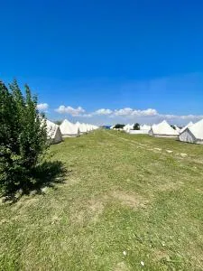 Faleza23 - 道泽兹西特里奥格