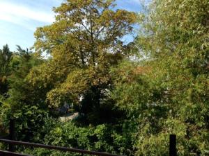 Ostseeblick, Wustrow 28