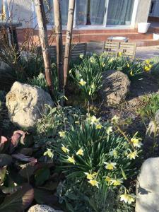 Super maison 5 pièces avec jardin