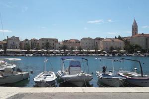 Apartman Veronika A - The beauty of hibiscuses