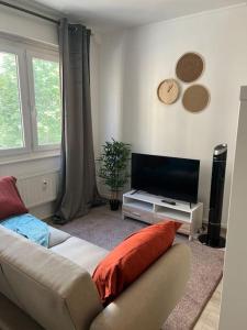 Appart strasbourg centre