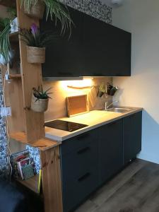 Appartements Le cocon Urban Jungle - calme et lumineux : photos des chambres