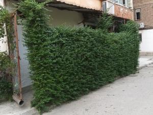 first floor apartment