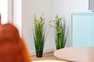 Apartment am Deich 02