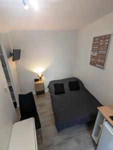 Appartements Studio cosy - Proche Zenith : photos des chambres