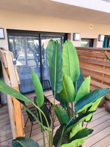 Hotels Hotel A Stretta : Chambre Double avec Terrasse