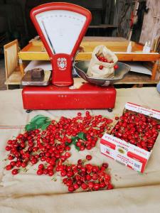 Agriturismo Cantarana