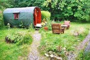 The Wonderly Wagon - Commeen