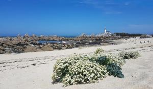 La légende Pontsuval 2eme étage - Centre-ville Brignogan-Plages , 300 m des plages