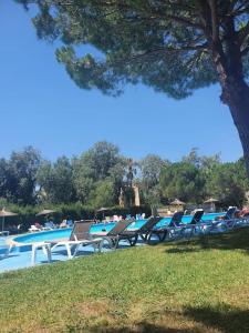 Appartements Agreable et familiale T2 Canet Plage : photos des chambres