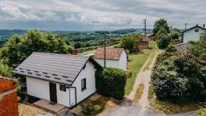 Dama s kamelijama - Gibina