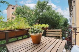 Primopiano - Lomellina