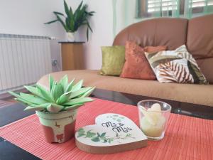 Apartment Dandelion