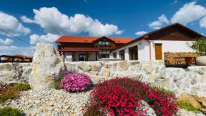 Gold Horse Vendégház