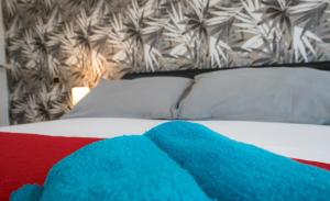 Bragadin75 In Vaticano