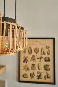 The lemon house - Spáta