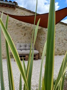 Maisons d'hotes Clos Baroanni - Chambre Olea : Grande Chambre Double 