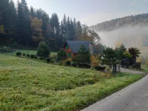 Domek za lasem - Jaworzna