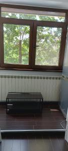 Chic and comfortable 1 BR flat close to center