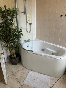 Haymaeket Centro Edinburgh