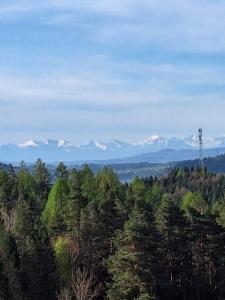 Urokliwy drewniany dom z widokiem na Tatry