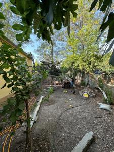 Private house surrounded by greenery