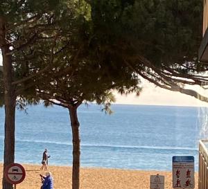 Apartamento primera línea de mar en Platja daro
