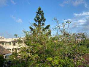 Roundhouse Staycation