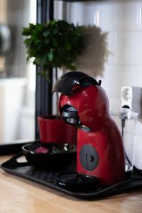 Appartements Le Temps d'Eugene Centre historique : photos des chambres