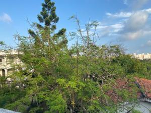 Roundhouse Staycation