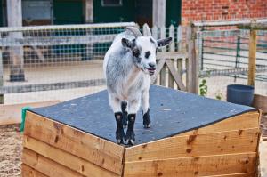 Northlands Farm King Ensuite